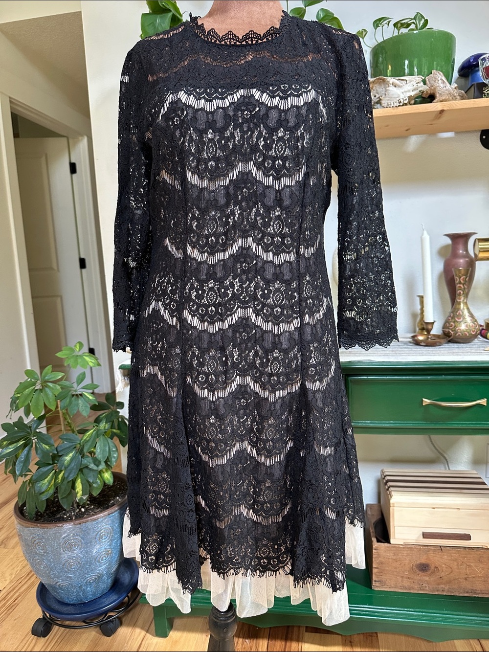 Black Lace and beige tulle dress!